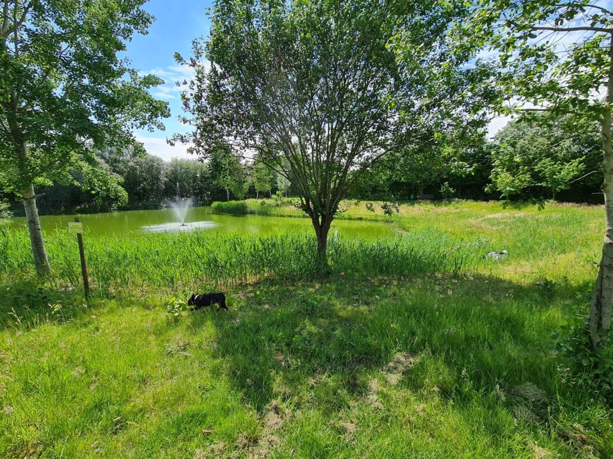 Lias Ferienhaus Geeste Exteriör bild